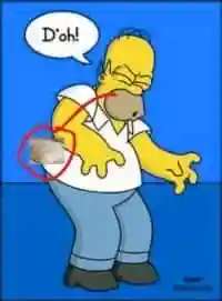 homer meme