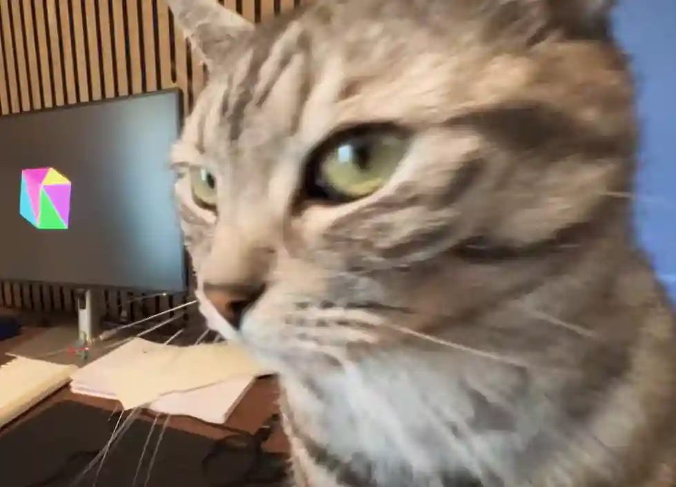 Sebastian Lague's cat