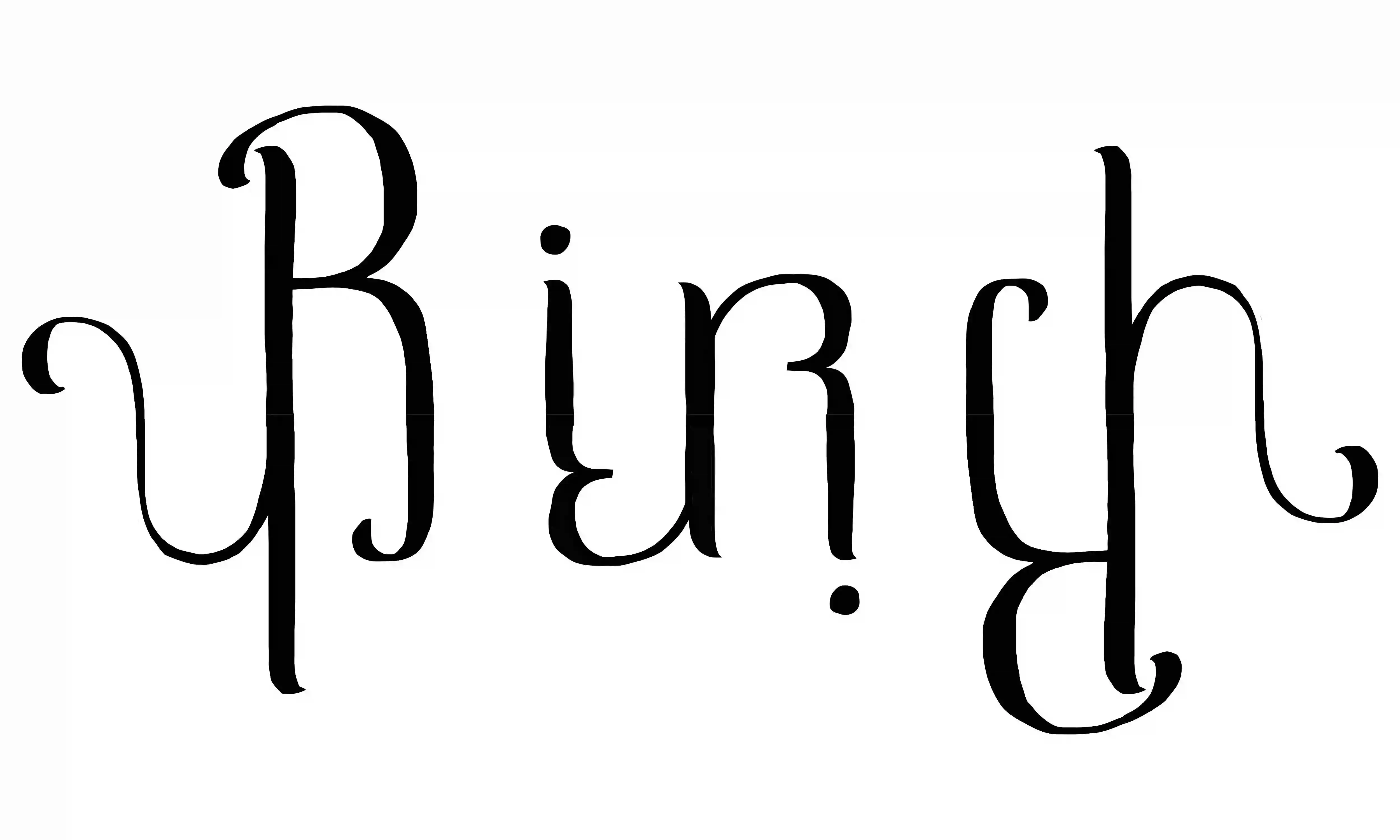 newer ambigram